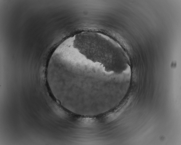 X0000102490449200809051326