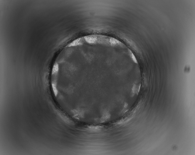 X0000102490450200809051326