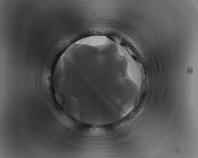 X0000102490451200809051326