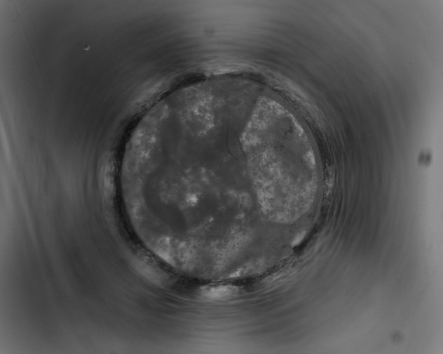 X0000102490452200809051326