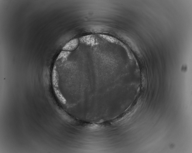 X0000102490453200809051326