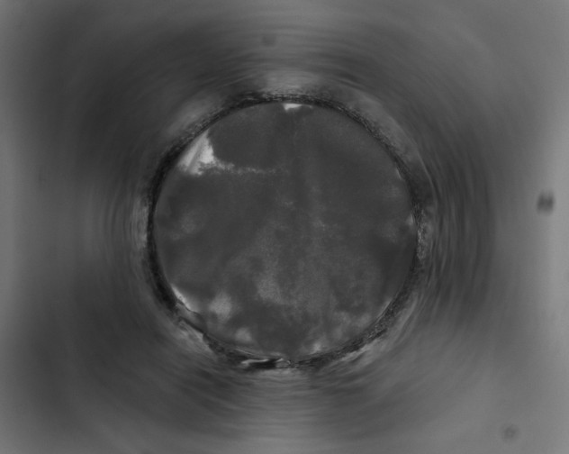 X0000102490454200809051326