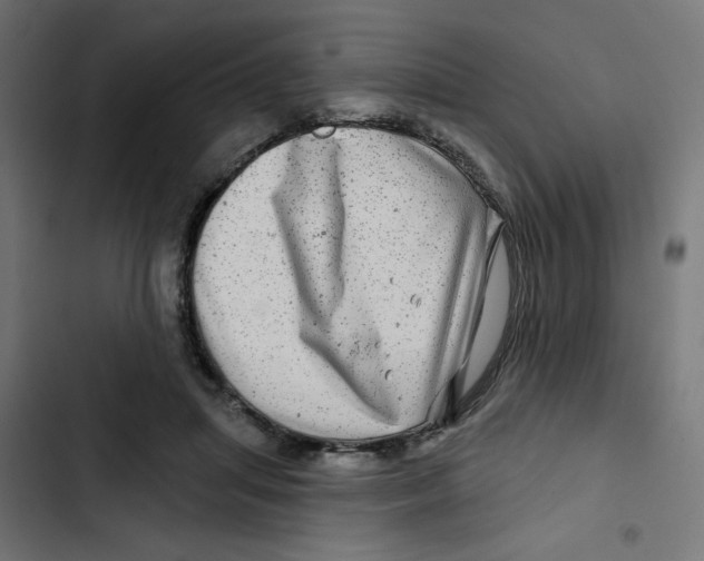 X0000102490455200809051326