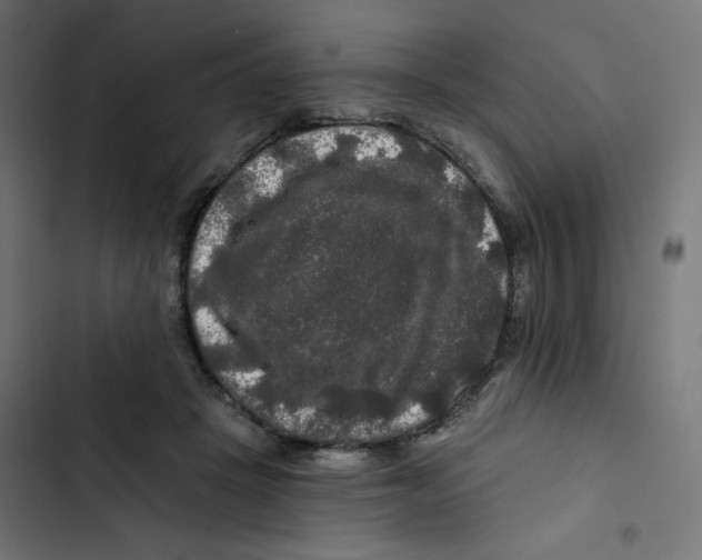 X0000102490457200809051326