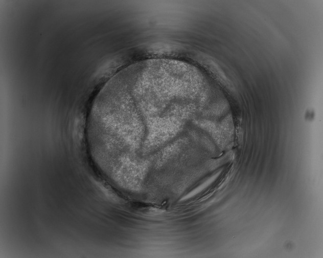 X0000102490458200809051326