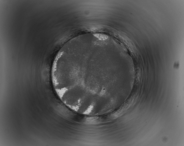 X0000102490461200809051326