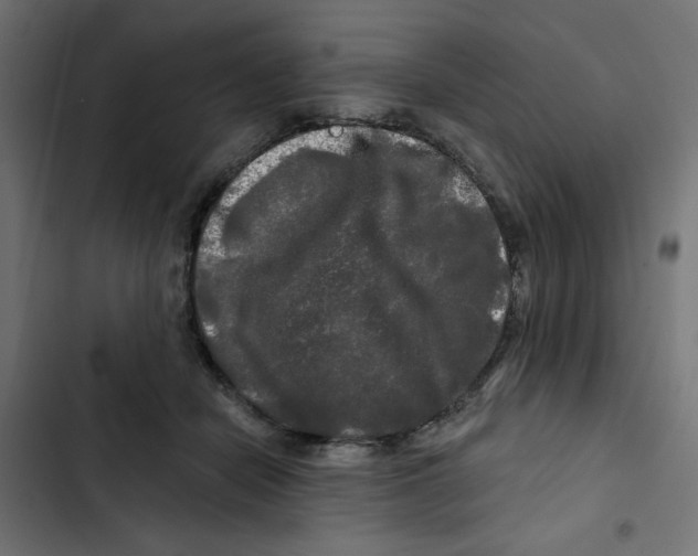 X0000102490462200809051326