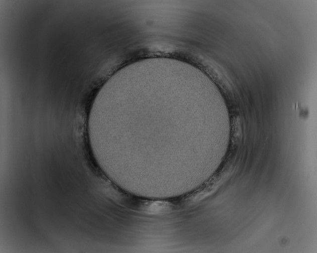 X0000102490463200809051326