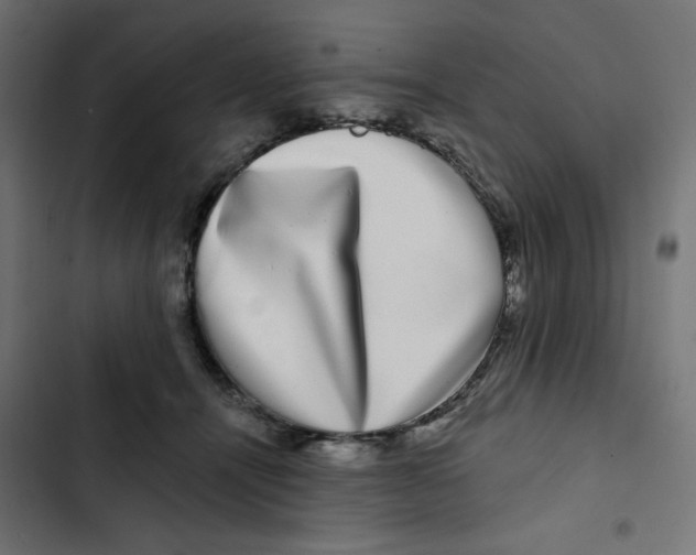 X0000102490464200809051326