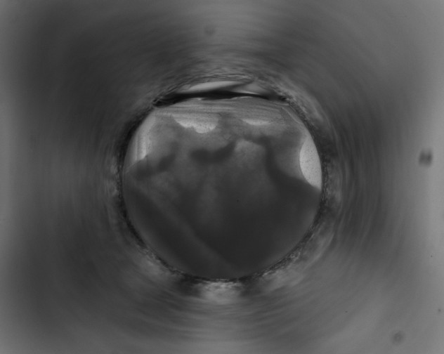 X0000102490465200809051326