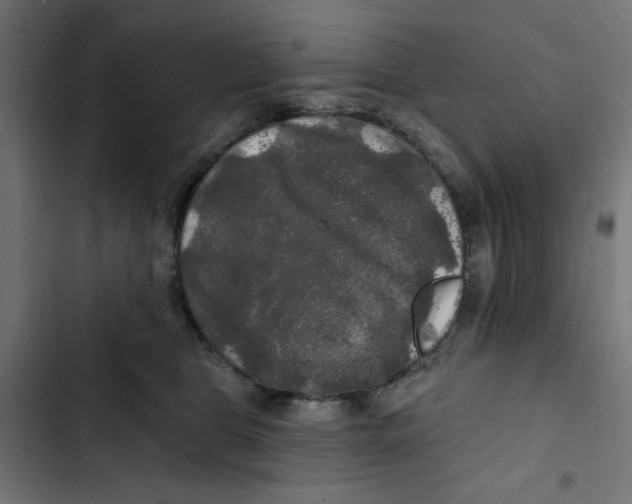 X0000102490469200809051326