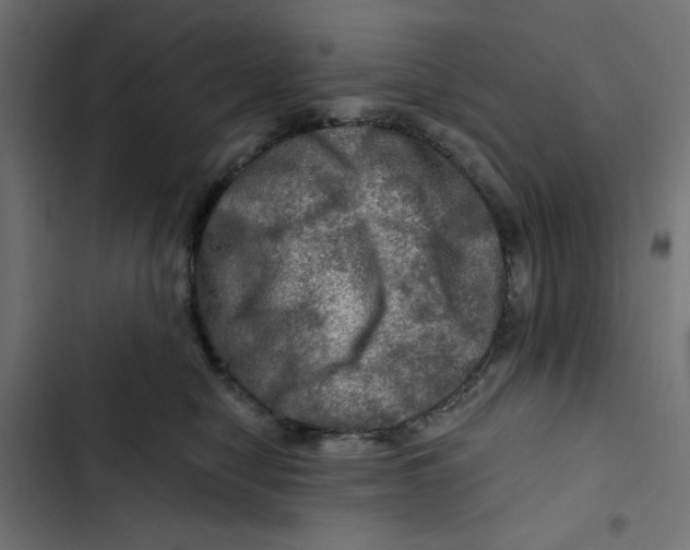 X0000102490470200809051326