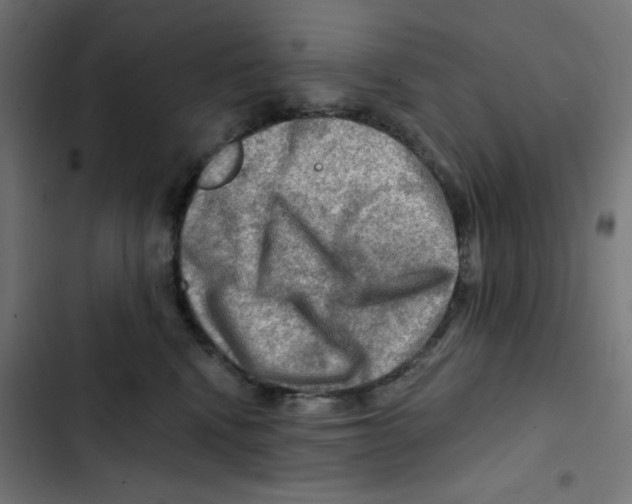 X0000102490472200809051326