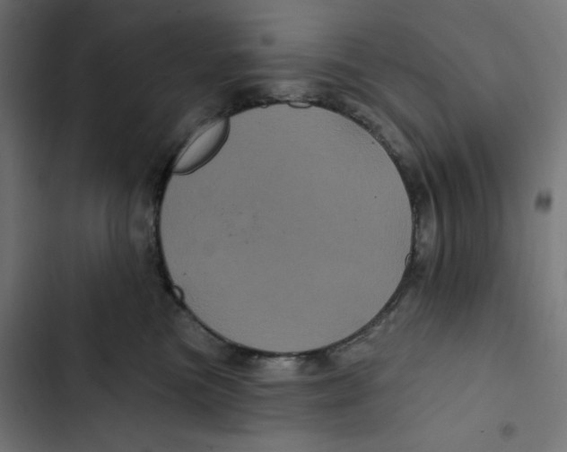 X0000102490473200809051326