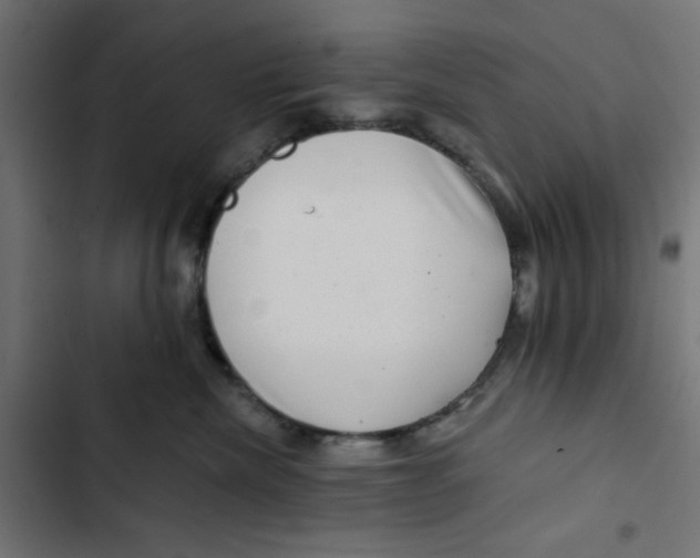 X0000102490476200809051326