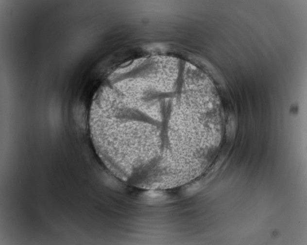 X0000102490477200809051326
