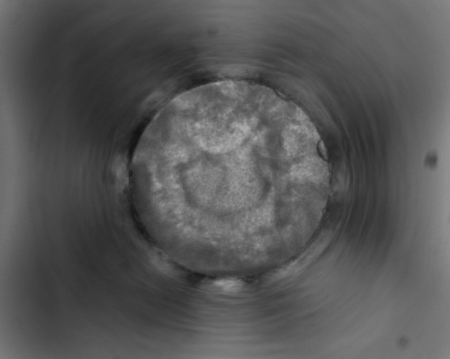 X0000102490478200809051326