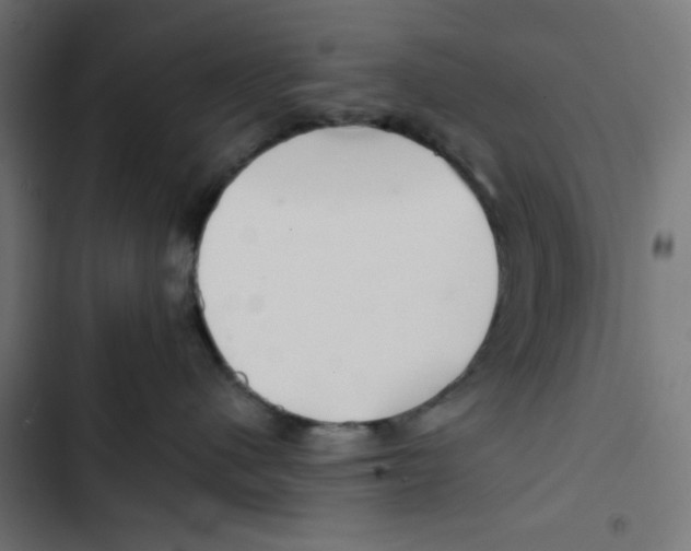 X0000102490480200809051326