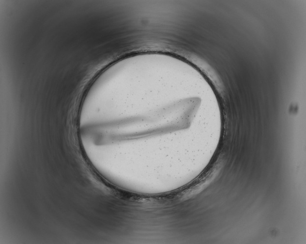 X0000102490481200809051326