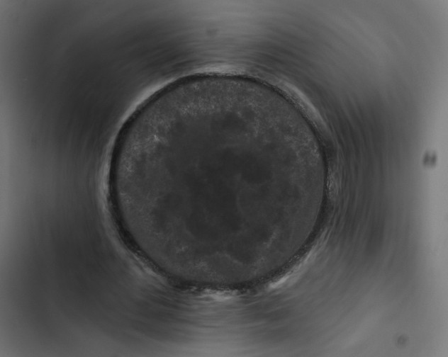 X0000102490484200809051326