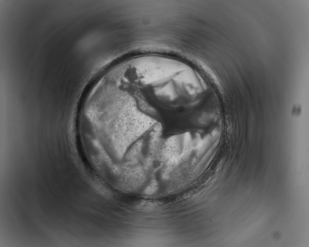 X0000102490487200809051325