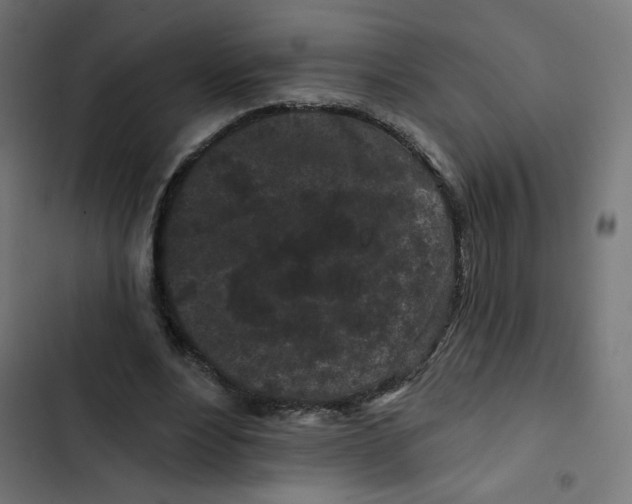 X0000102490488200809051325