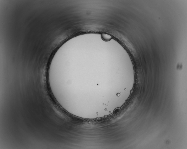 X0000102490489200809051325