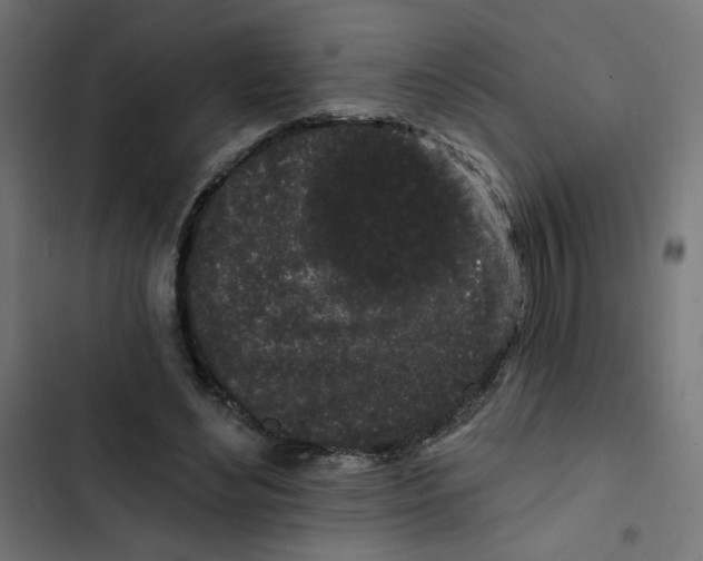 X0000102490492200809051325