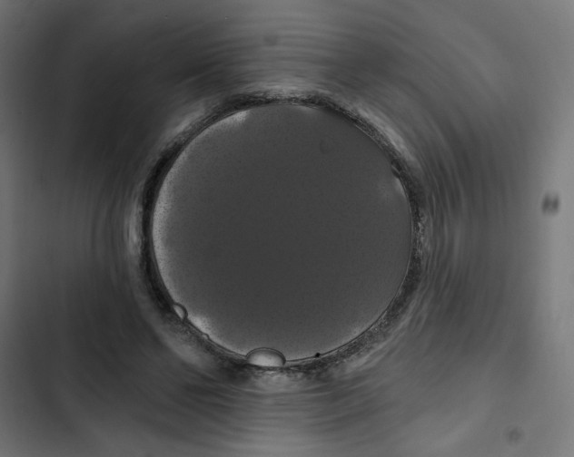 X0000102490494200809051325