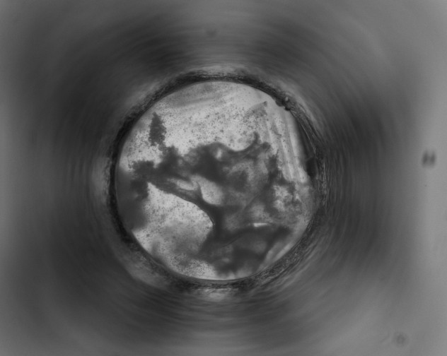 X0000102490495200809051325