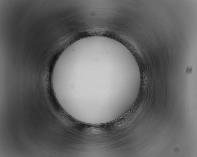 X0000102490498200809051325