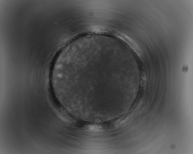 X0000102490500200809051325