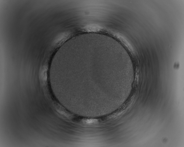 X0000102490501200809051325