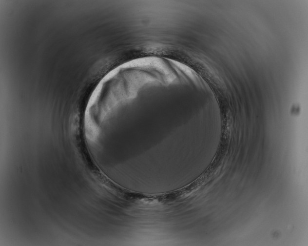 X0000102490502200809051325