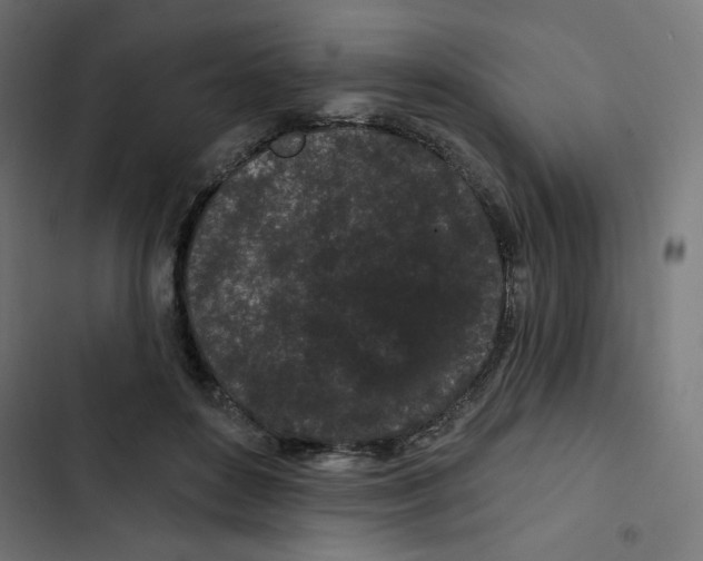 X0000102490504200809051325