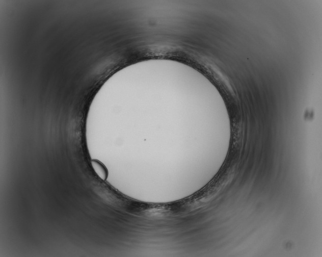 X0000102490505200809051325