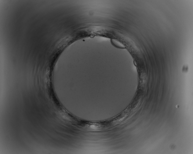 X0000102490506200809051325