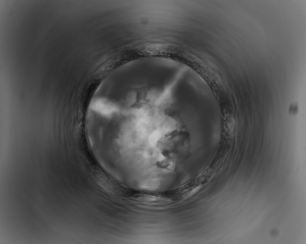 X0000102490507200809051325