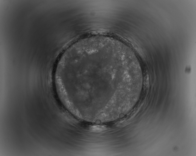 X0000102490508200809051325