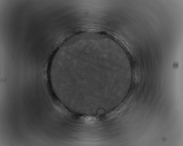 X0000102490512200809051325