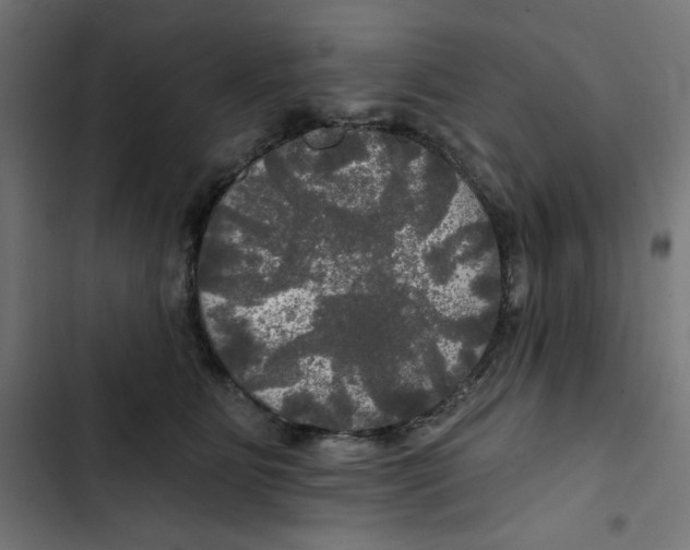 X0000102490515200809051325