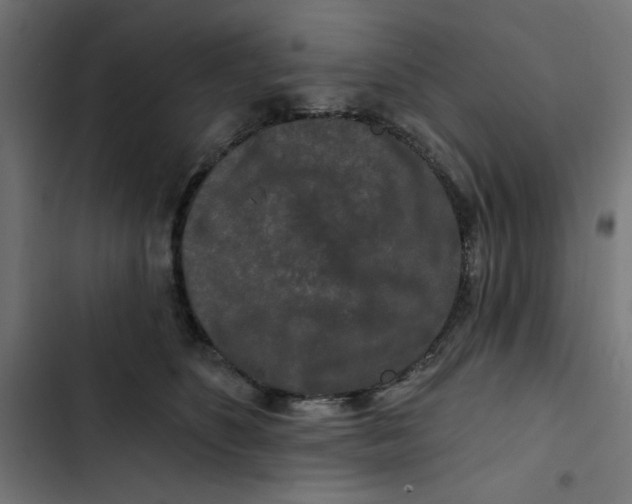 X0000102490516200809051325