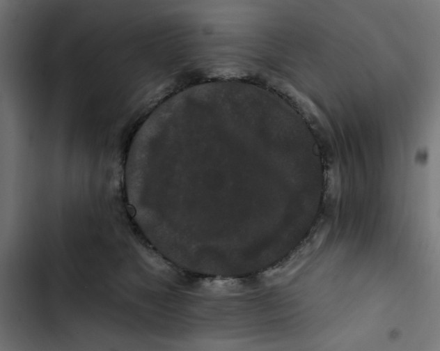 X0000102490517200809051325