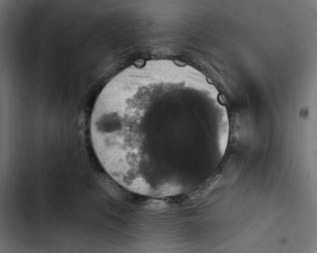 X0000102490519200809051325