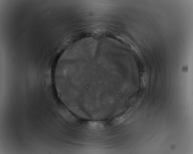 X0000102490520200809051325