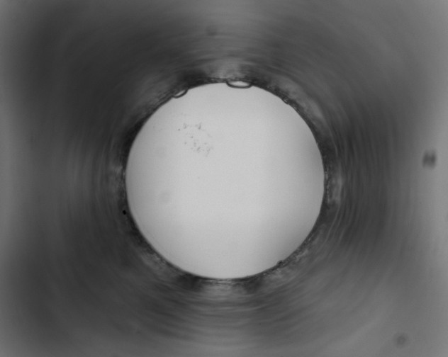 X0000102490521200809051325