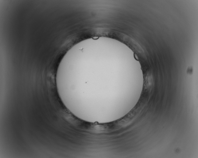 X0000102490522200809051325