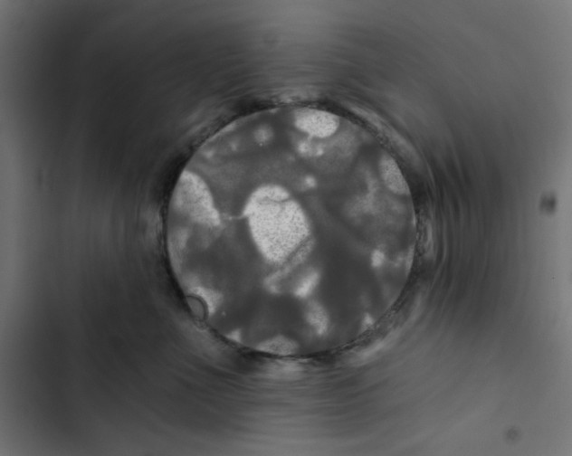 X0000102490523200809051325