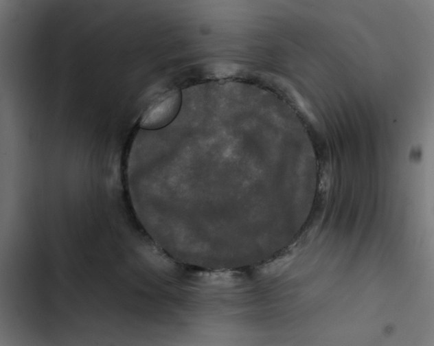 X0000102490524200809051325