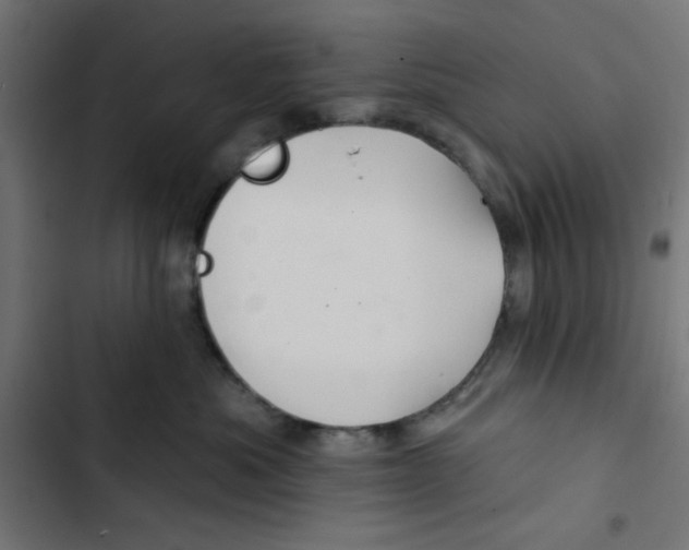 X0000102490525200809051325